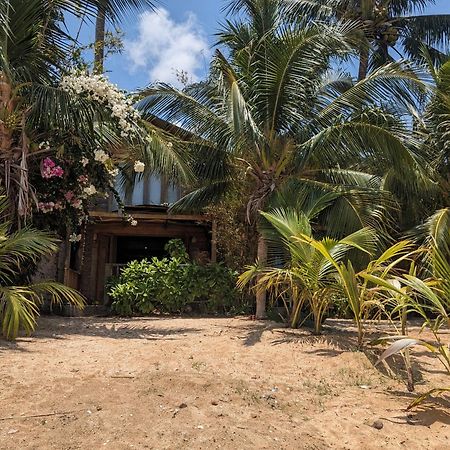 Rorys Beach Bar دونغ دونغ المظهر الخارجي الصورة