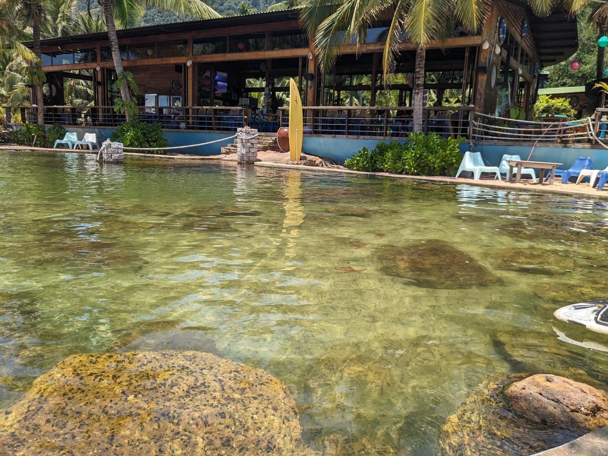 Rorys Beach Bar دونغ دونغ المظهر الخارجي الصورة