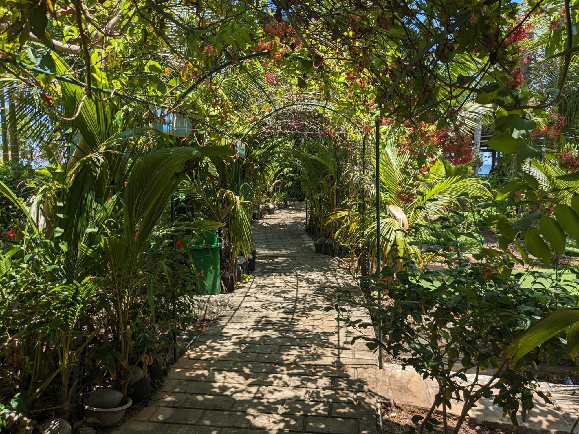 Rorys Beach Bar دونغ دونغ المظهر الخارجي الصورة